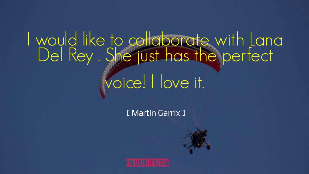 Martin Garrix Quotes: I would like to collaborate