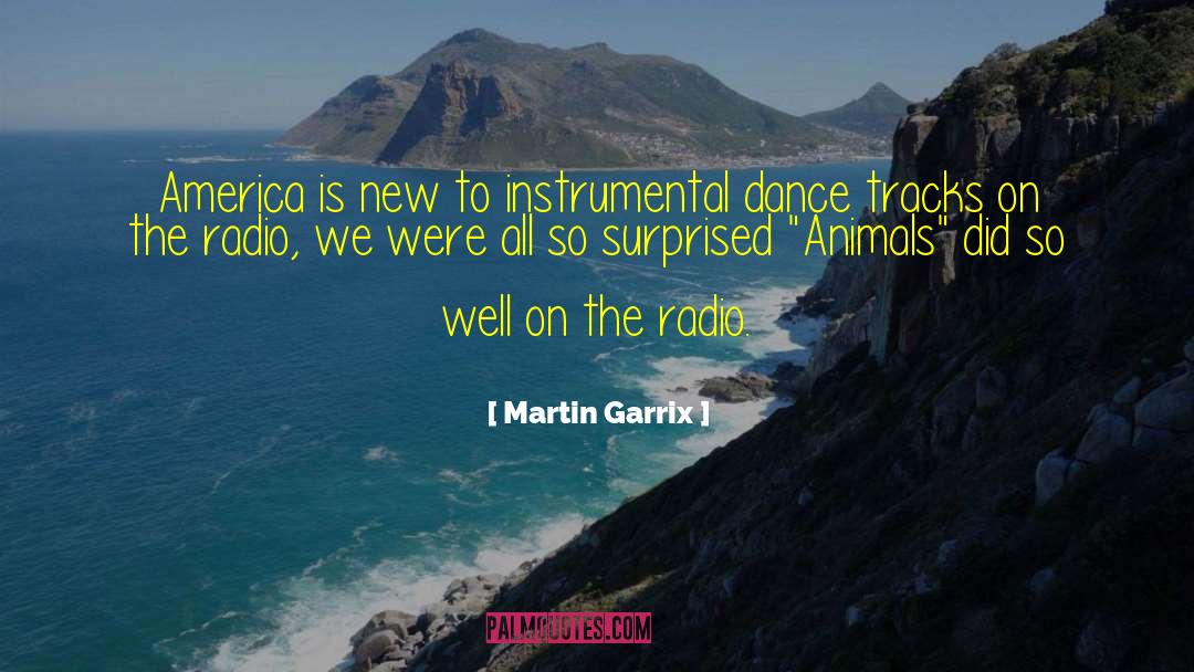 Martin Garrix Quotes: America is new to instrumental