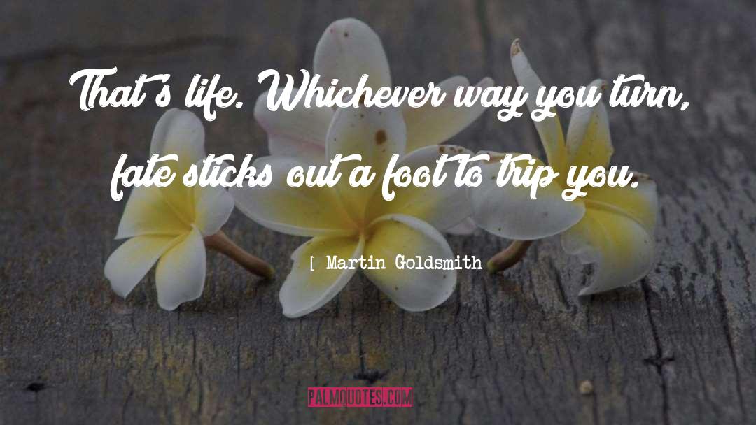 Martin Goldsmith Quotes: That's life. Whichever way you