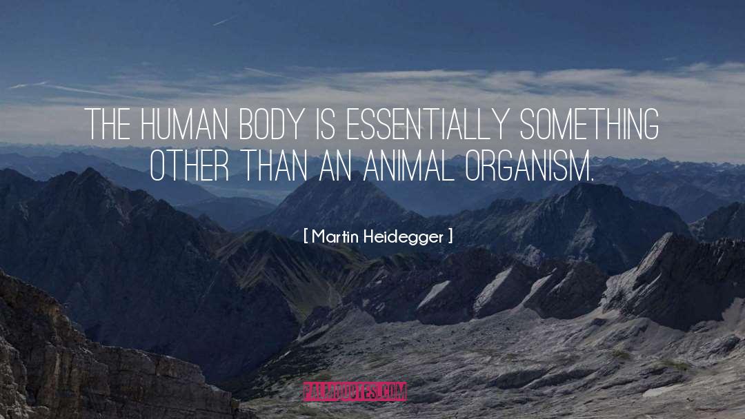 Martin Heidegger Quotes: The human body is essentially