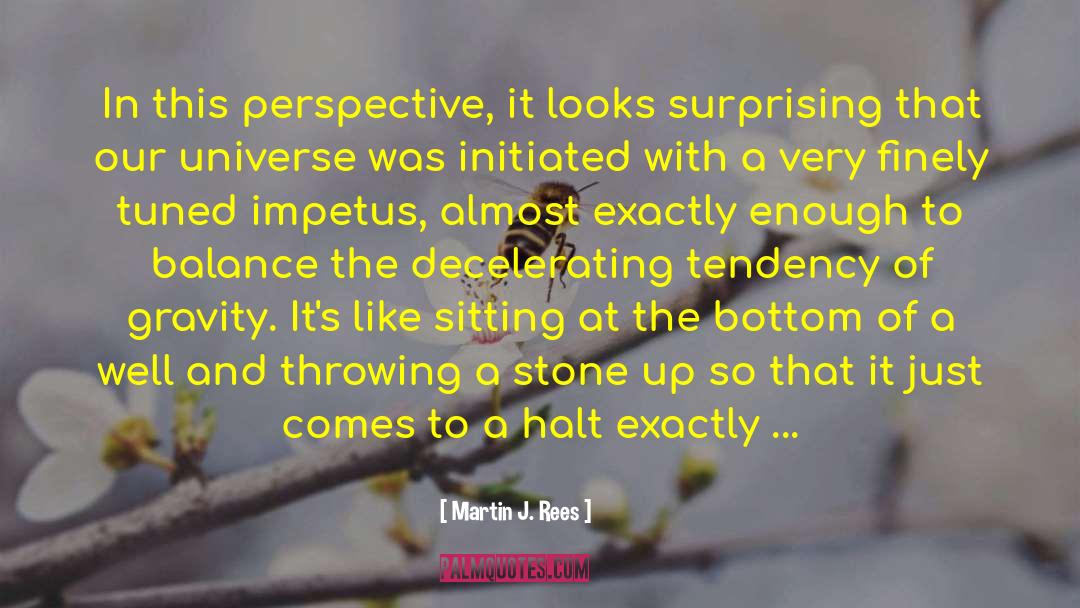 Martin J. Rees Quotes: In this perspective, it looks