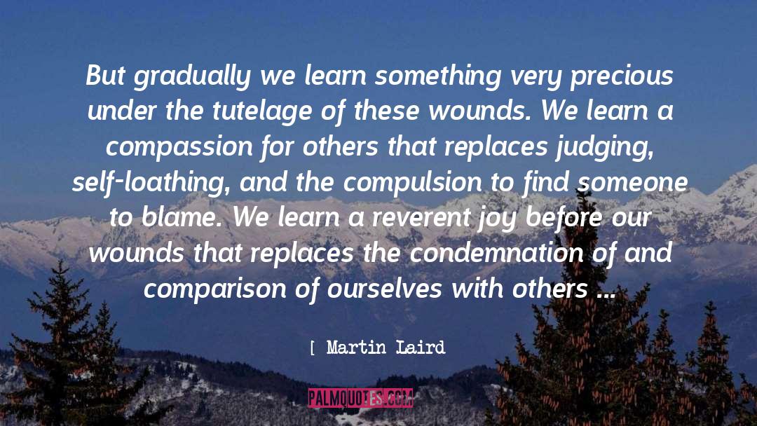 Martin Laird Quotes: But gradually we learn something