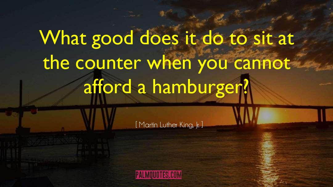 Martin Luther King, Jr. Quotes: What good does it do