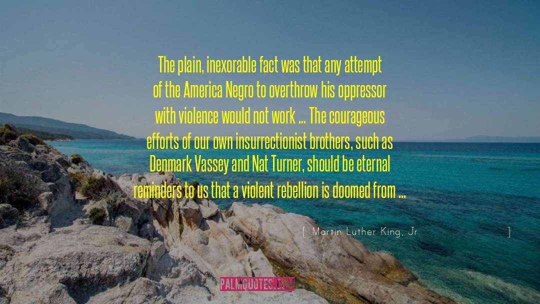 Martin Luther King, Jr. Quotes: The plain, inexorable fact was