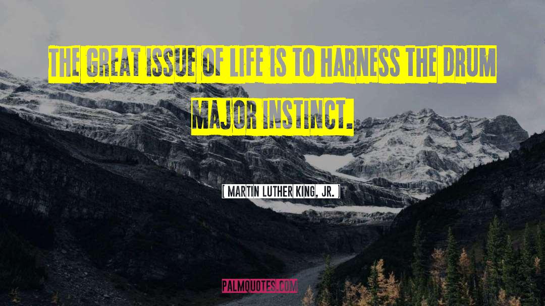 Martin Luther King, Jr. Quotes: The great issue of life