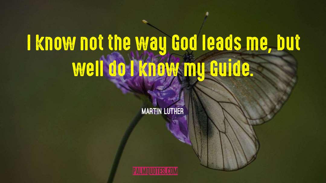 Martin Luther Quotes: I know not the way