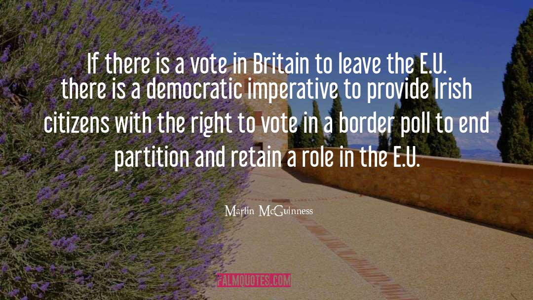 Martin McGuinness Quotes: If there is a vote