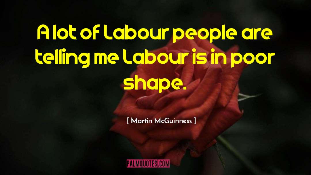Martin McGuinness Quotes: A lot of Labour people