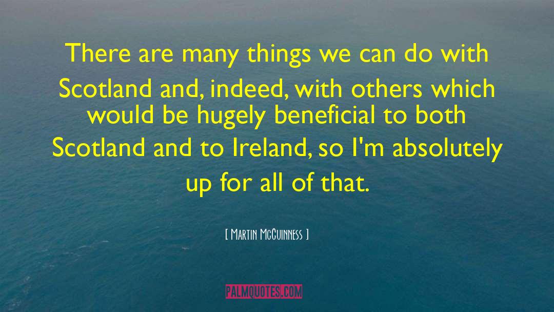 Martin McGuinness Quotes: There are many things we