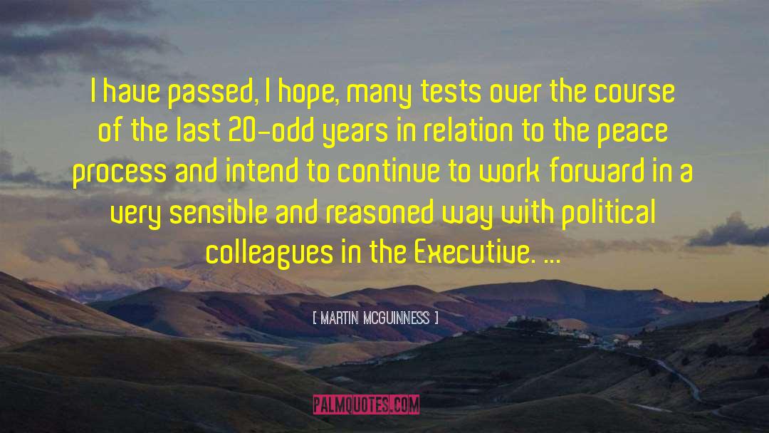 Martin McGuinness Quotes: I have passed, I hope,