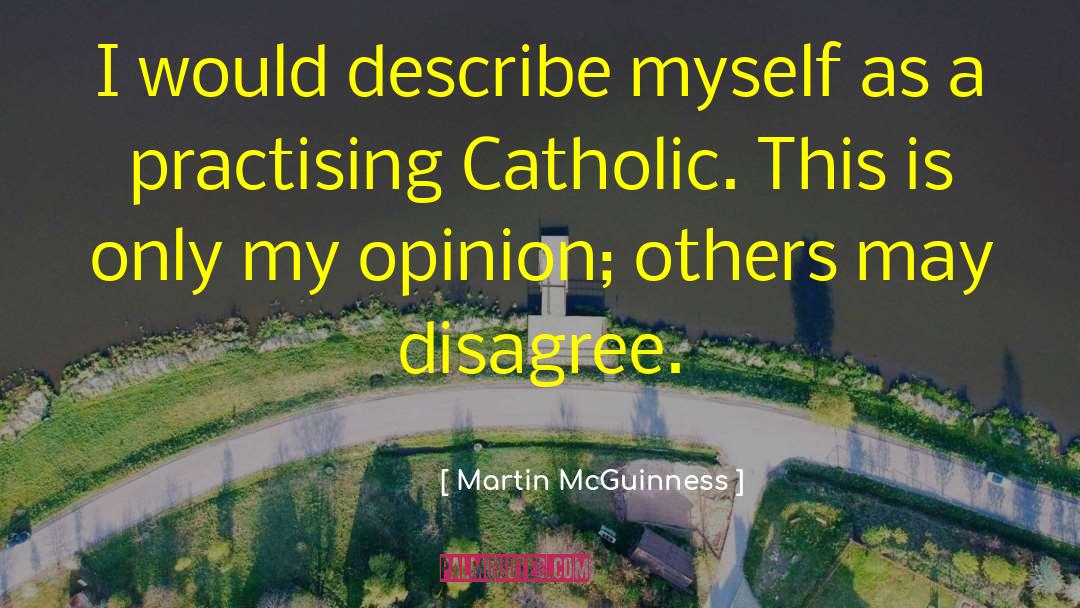 Martin McGuinness Quotes: I would describe myself as