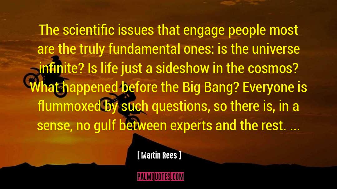 Martin Rees Quotes: The scientific issues that engage