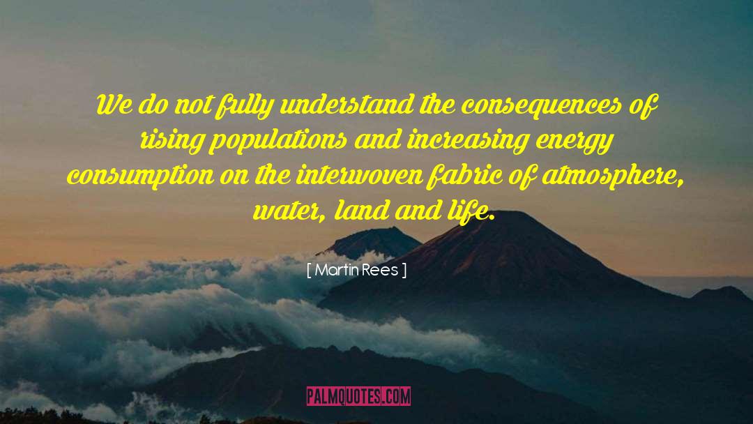 Martin Rees Quotes: We do not fully understand