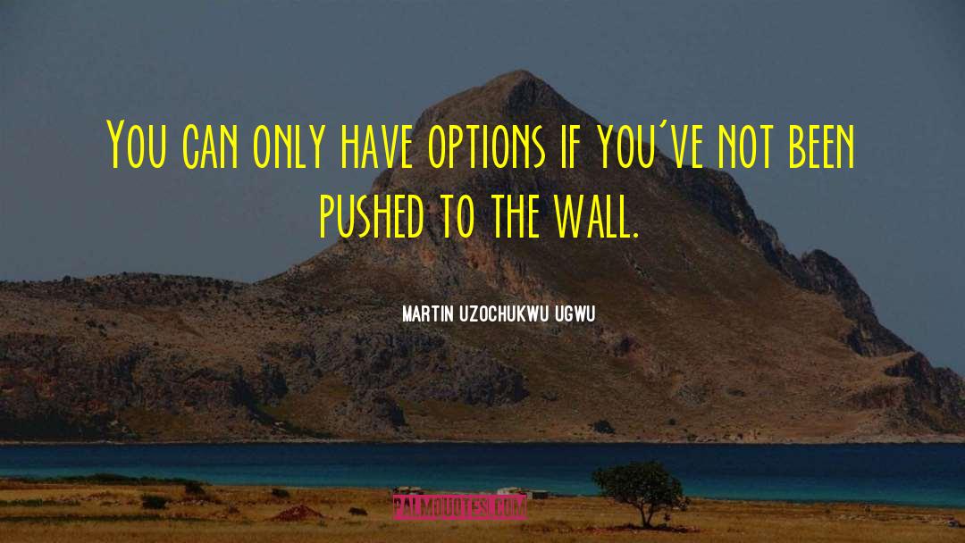 Martin Uzochukwu Ugwu Quotes: You can only have options