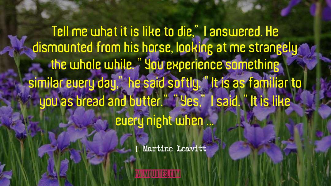 Martine Leavitt Quotes: Tell me what it is