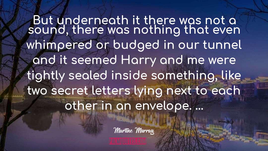Martine Murray Quotes: But underneath it there was