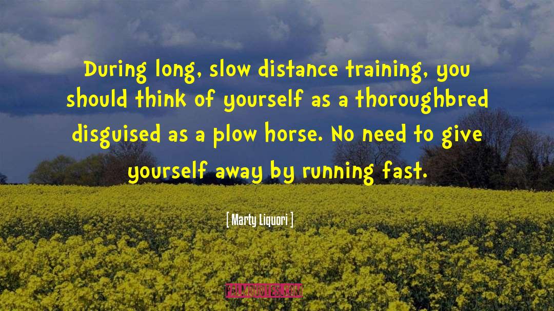 Marty Liquori Quotes: During long, slow distance training,