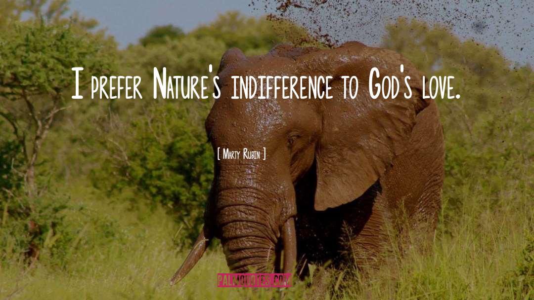 Marty Rubin Quotes: I prefer Nature's indifference to