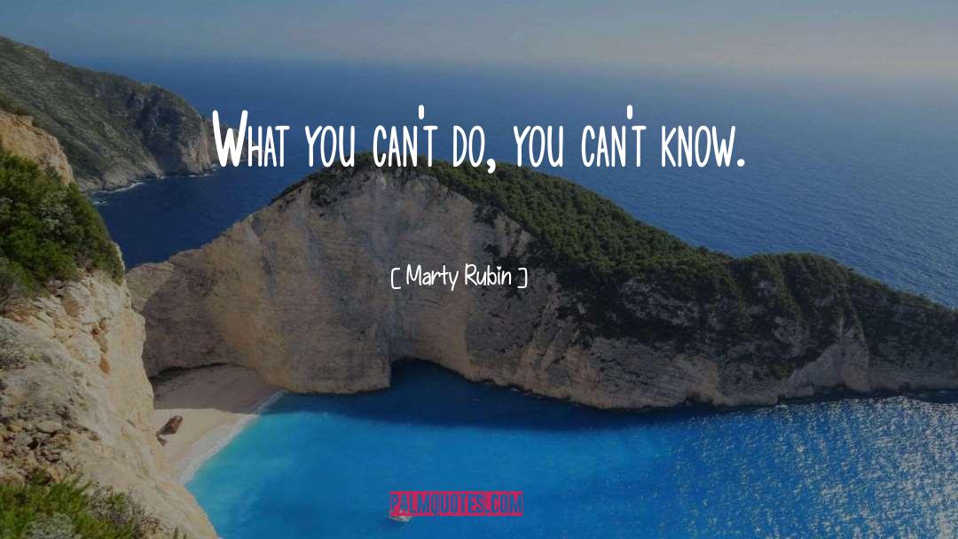 Marty Rubin Quotes: What you can't do, you