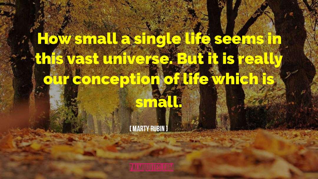 Marty Rubin Quotes: How small a single life