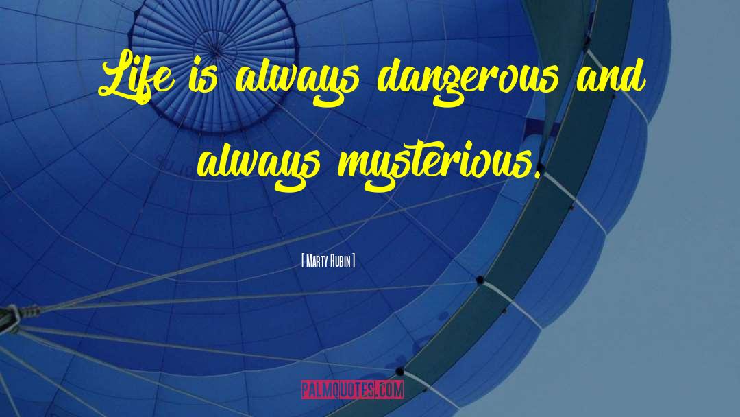 Marty Rubin Quotes: Life is always dangerous and