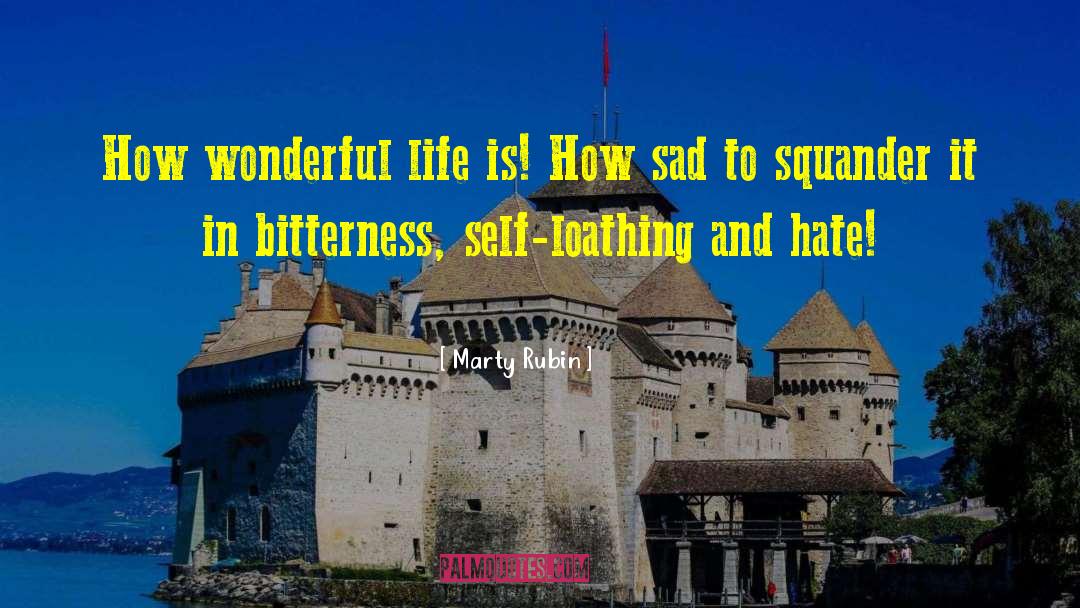 Marty Rubin Quotes: How wonderful life is! How
