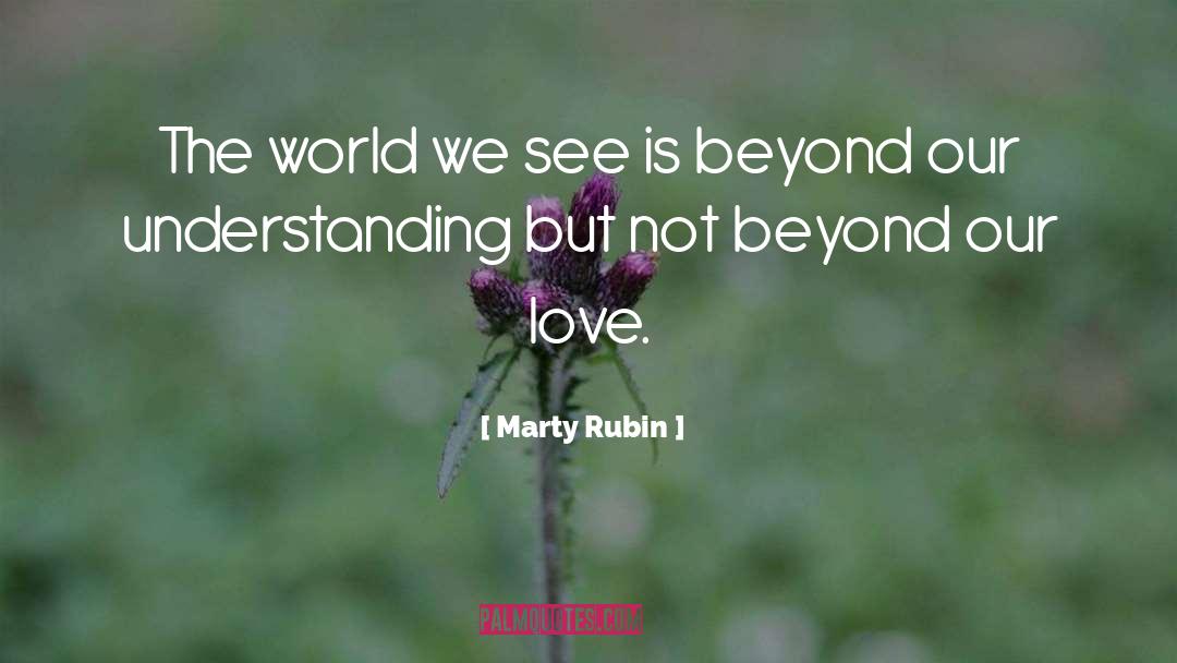 Marty Rubin Quotes: The world we see is