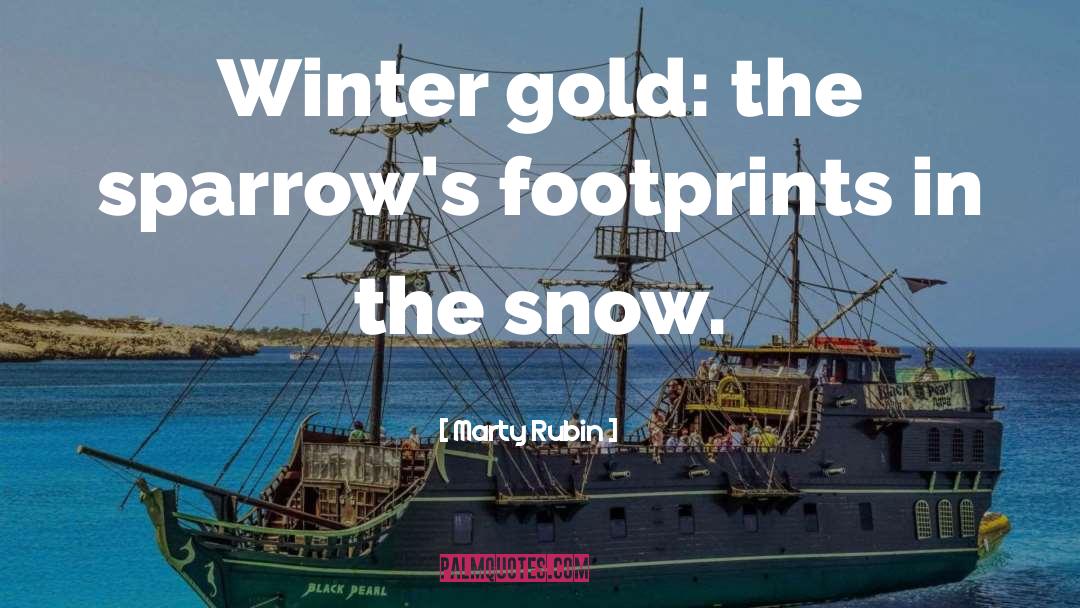 Marty Rubin Quotes: Winter gold: the sparrow's footprints