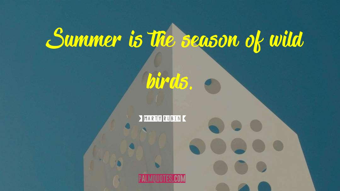 Marty Rubin Quotes: Summer is the season of