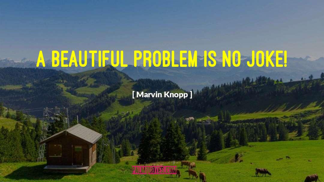 Marvin Knopp Quotes: A beautiful problem is no
