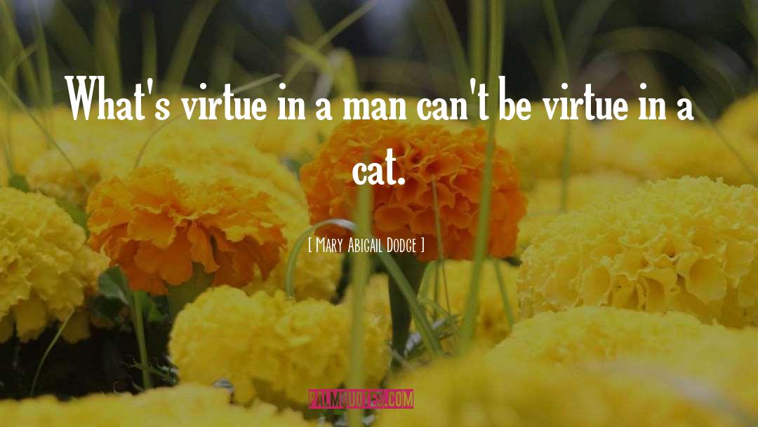 Mary Abigail Dodge Quotes: What's virtue in a man