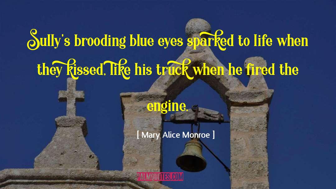 Mary Alice Monroe Quotes: Sully's brooding blue eyes sparked