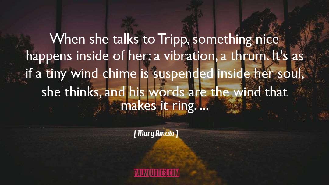 Mary Amato Quotes: When she talks to Tripp,