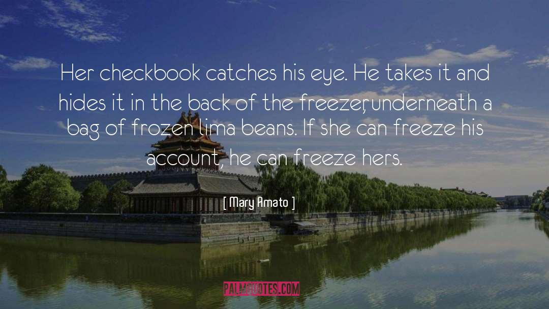 Mary Amato Quotes: Her checkbook catches his eye.