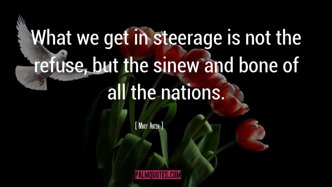 Mary Antin Quotes: What we get in steerage