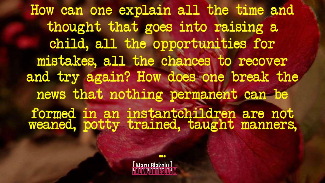 Mary Blakely Quotes: How can one explain all