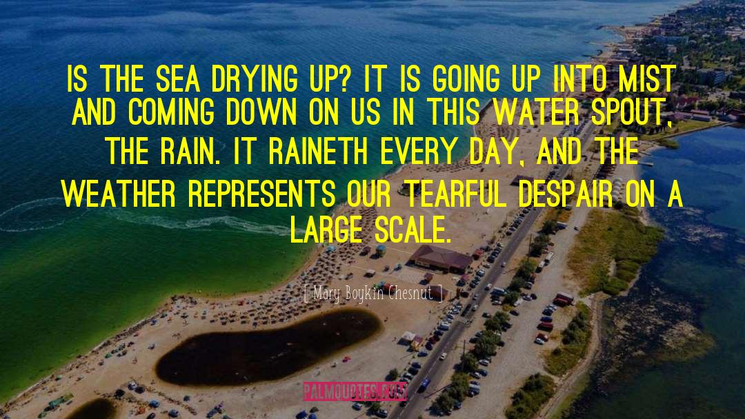 Mary Boykin Chesnut Quotes: Is the sea drying up?