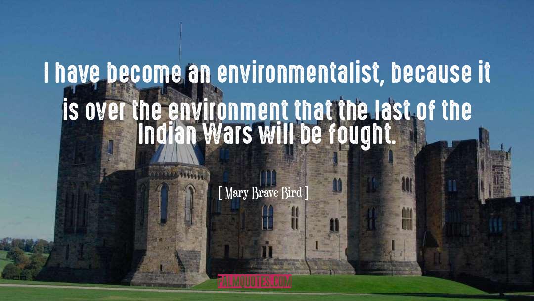 Mary Brave Bird Quotes: I have become an environmentalist,