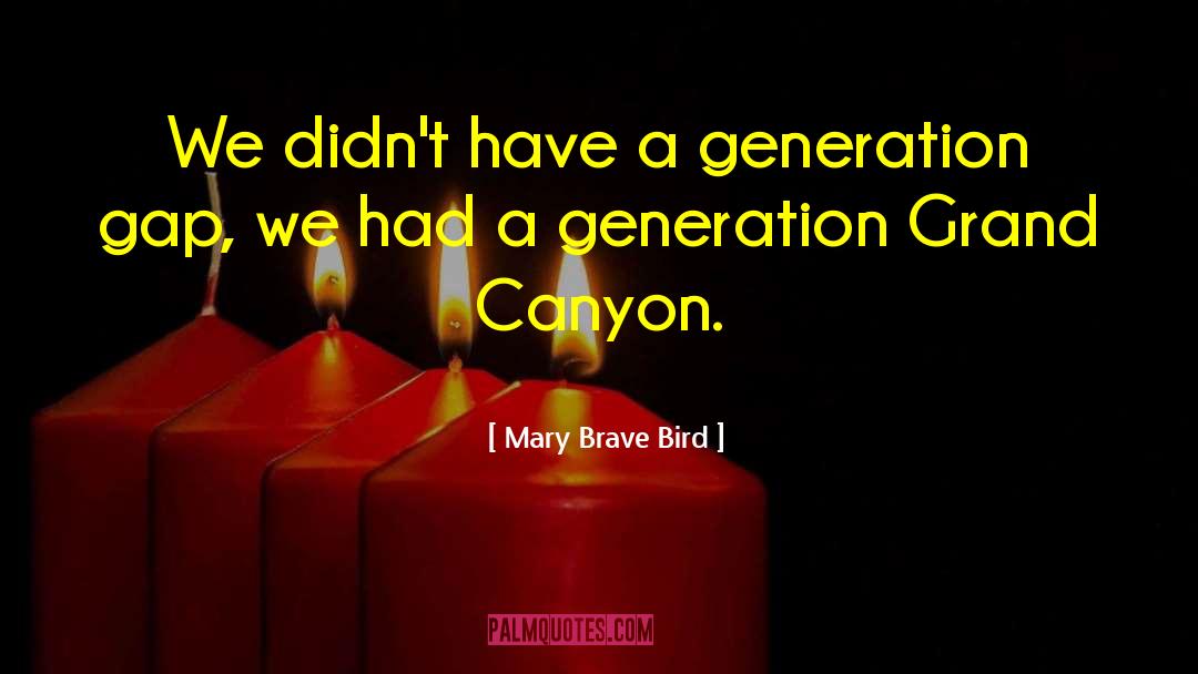 Mary Brave Bird Quotes: We didn't have a generation