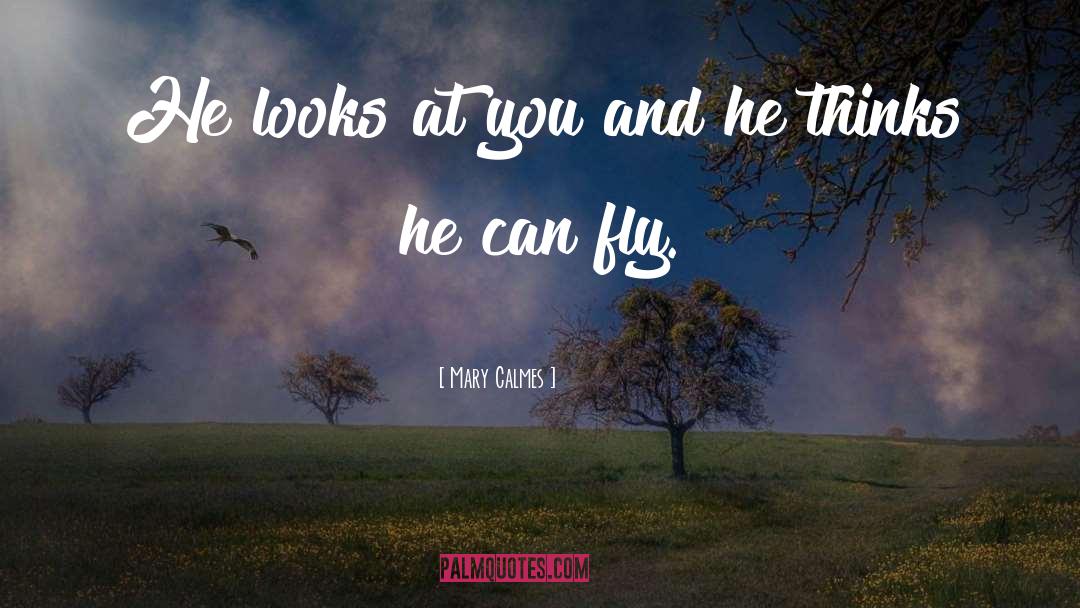 Mary Calmes Quotes: He looks at you and