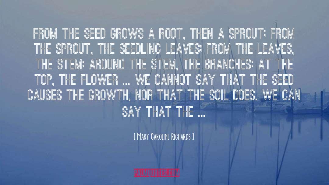 Mary Caroline Richards Quotes: From the seed grows a