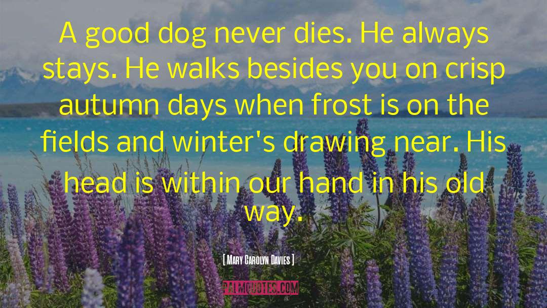 Mary Carolyn Davies Quotes: A good dog never dies.