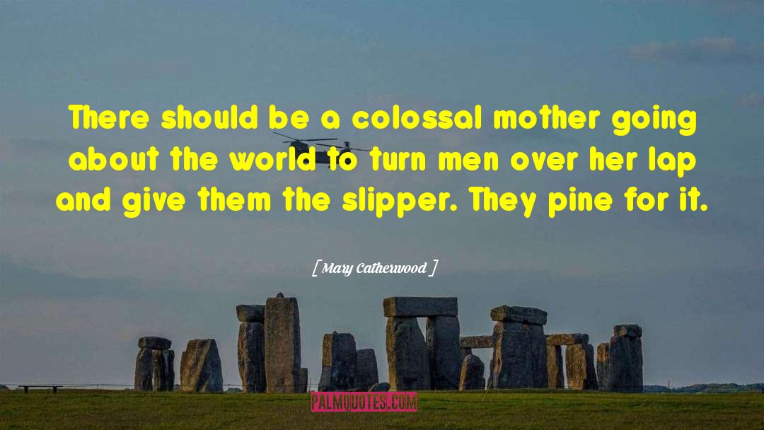 Mary Catherwood Quotes: There should be a colossal