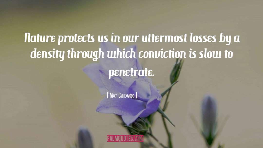 Mary Catherwood Quotes: Nature protects us in our