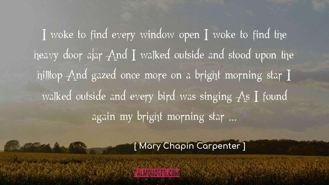 Mary Chapin Carpenter Quotes: I woke to find every