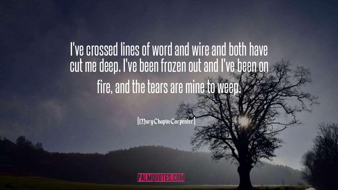 Mary Chapin Carpenter Quotes: I've crossed lines of word