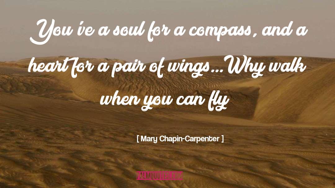 Mary Chapin Carpenter Quotes: You've a soul for a