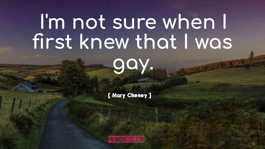 Mary Cheney Quotes: I'm not sure when I