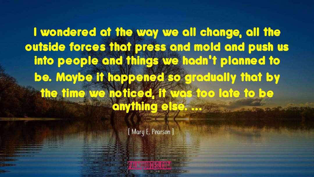 Mary E. Pearson Quotes: I wondered at the way