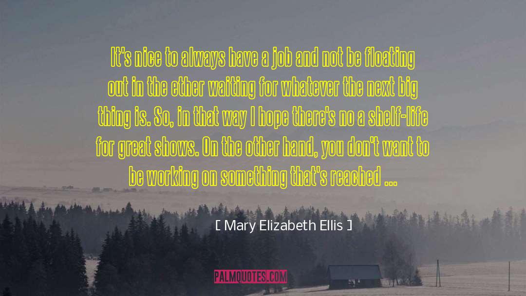 Mary Elizabeth Ellis Quotes: It's nice to always have